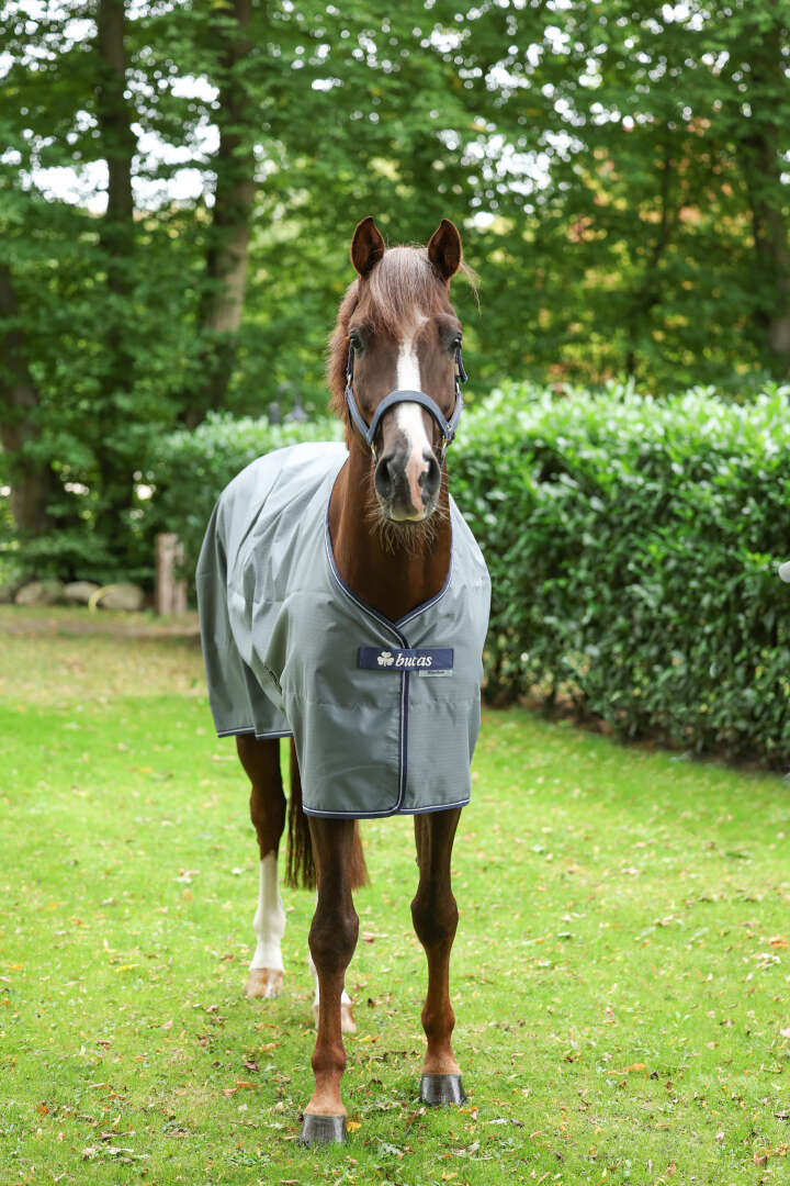 bucas Outdoordecke Freedom Turnout 0 g